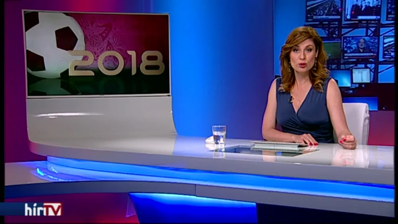 Zella és Nanook baromira nem értenek egyet, de majd a macska megmondja