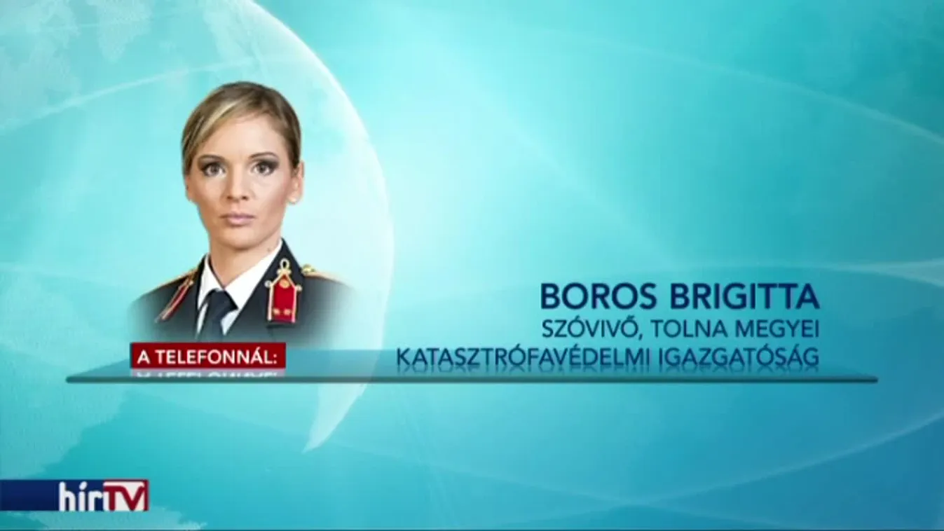 Kidőlt fa okozott szörnyű tragédiát