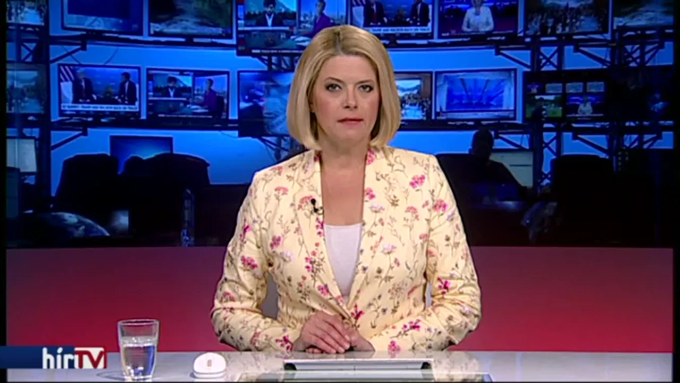 Elkábították a kóborló medvét Sándorfalván