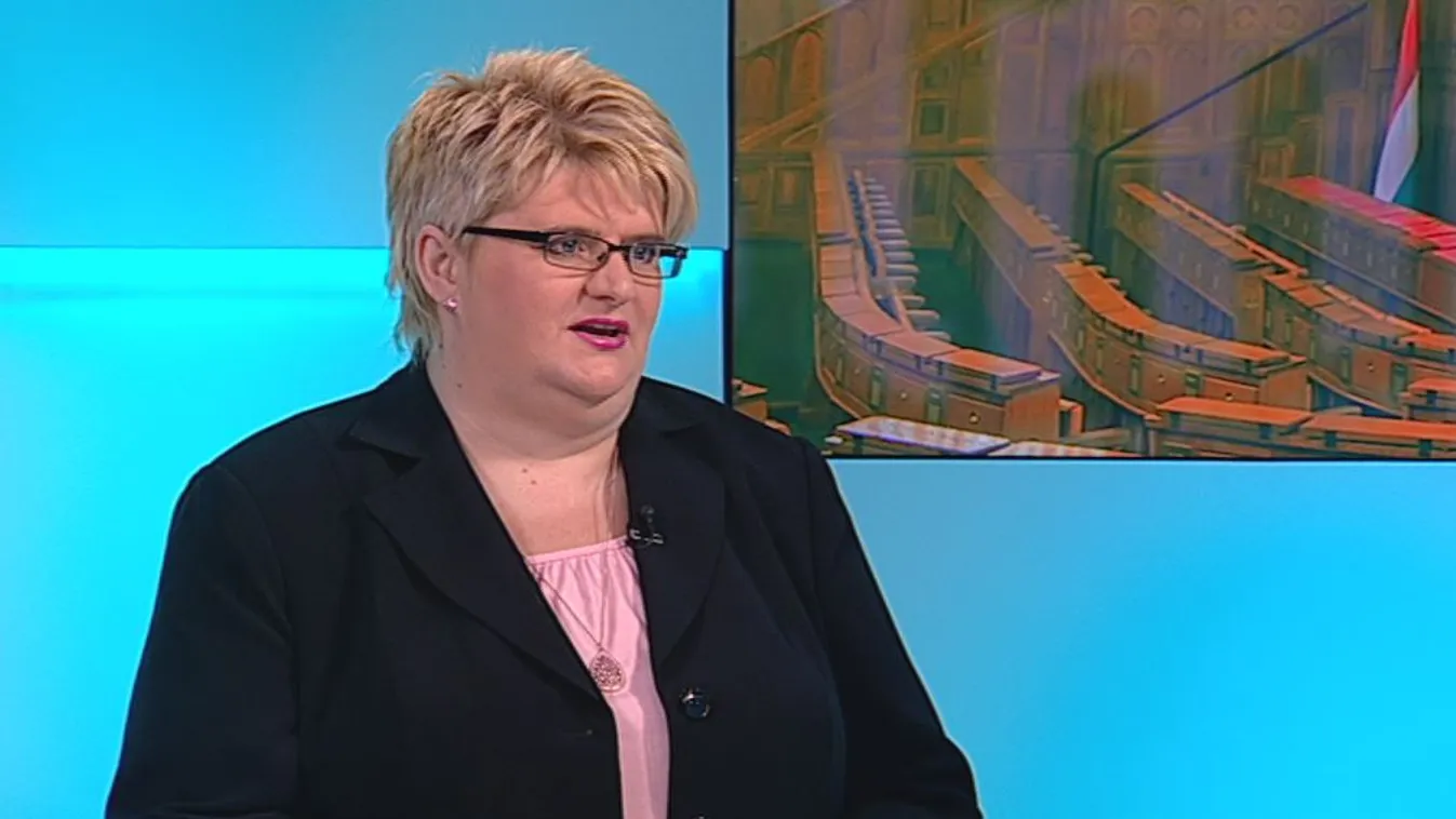 Az önkormányzatokért harcol Gémesi utódja