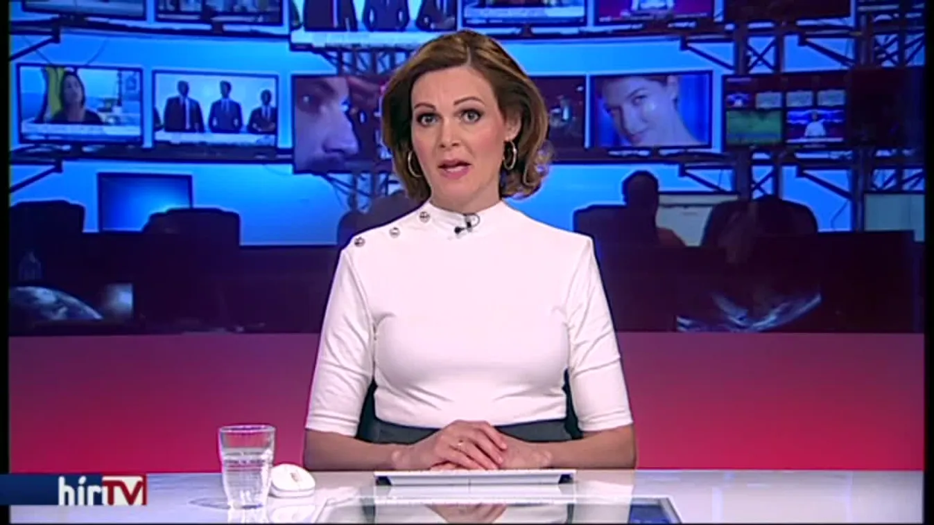 Előzetesben marad a sólyi gyilkos