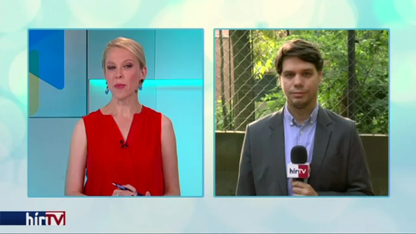 Reggeli járat - A barangoló medve