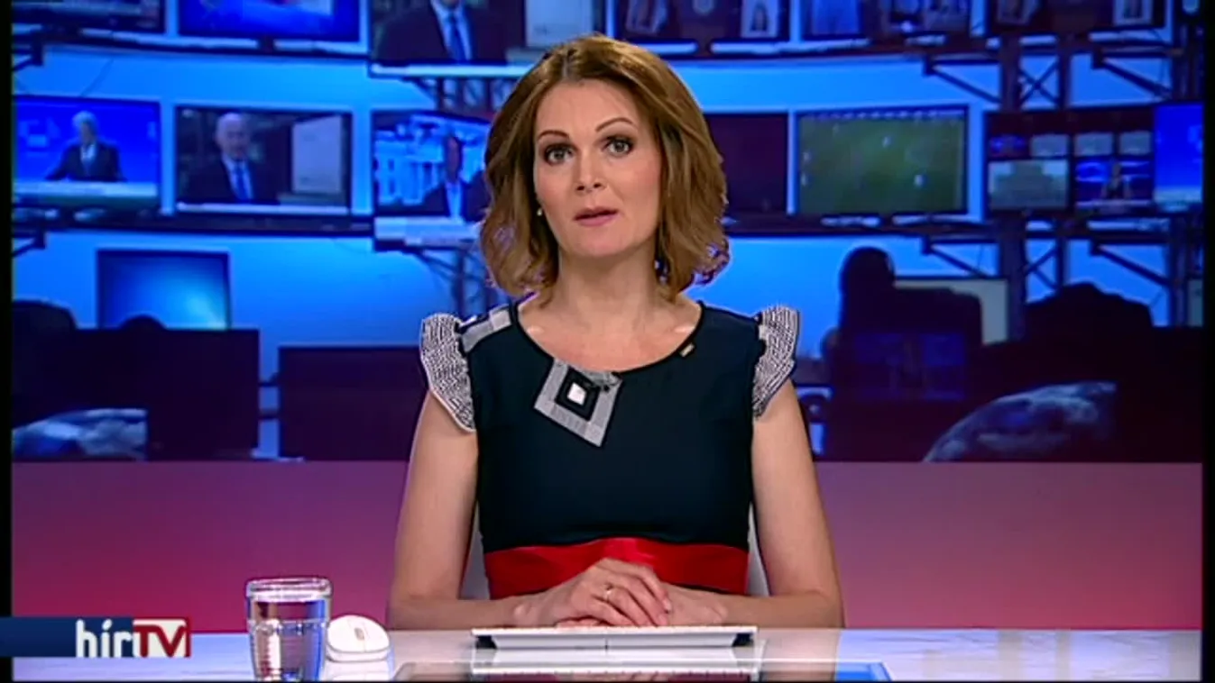 Az MTA vegzálása ellen tüntettek