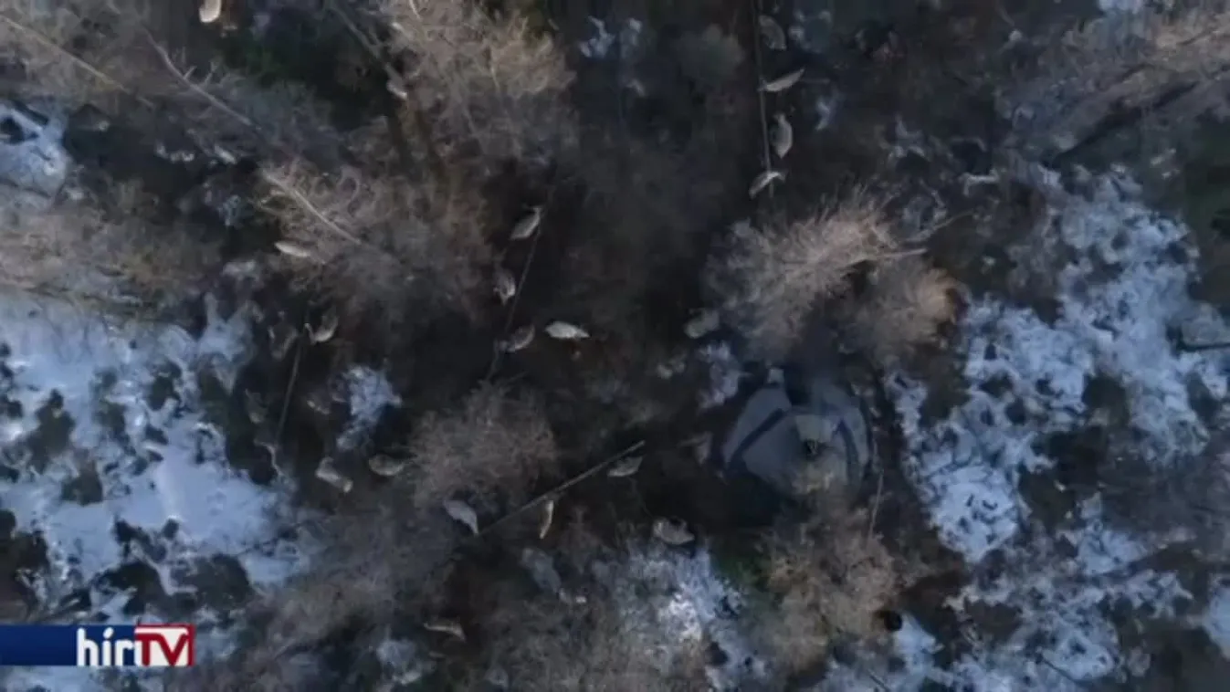 Felfedező - Nomádság