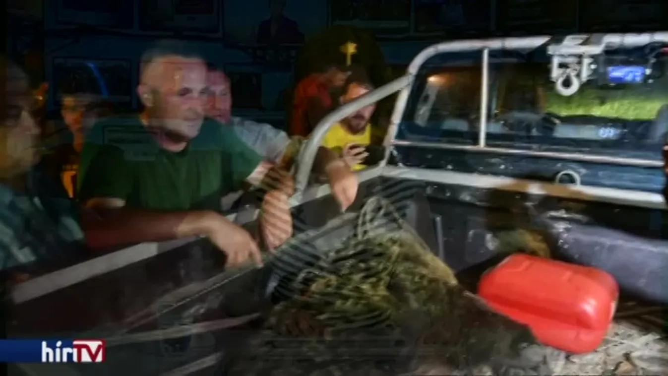 Bizottság dönt majd a medve sorsáról