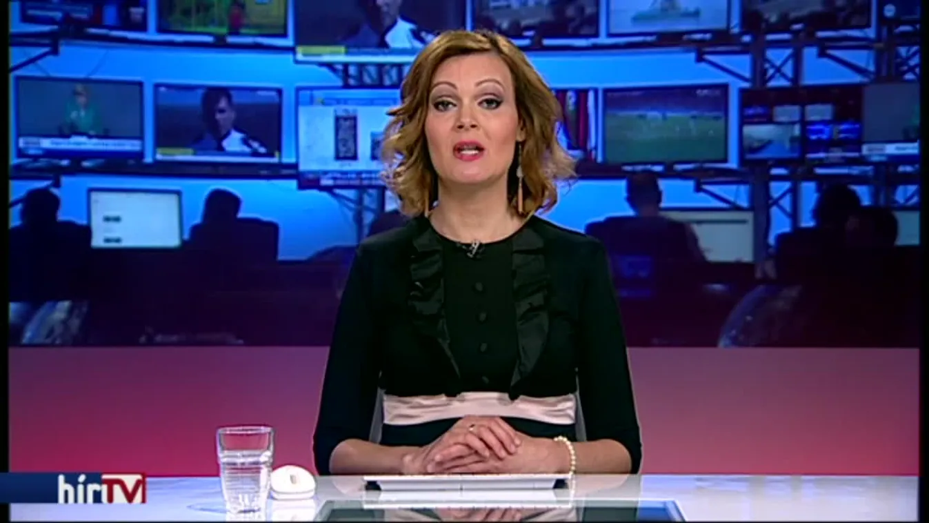 Pálinkás József: Sas nem kapkod legyek után