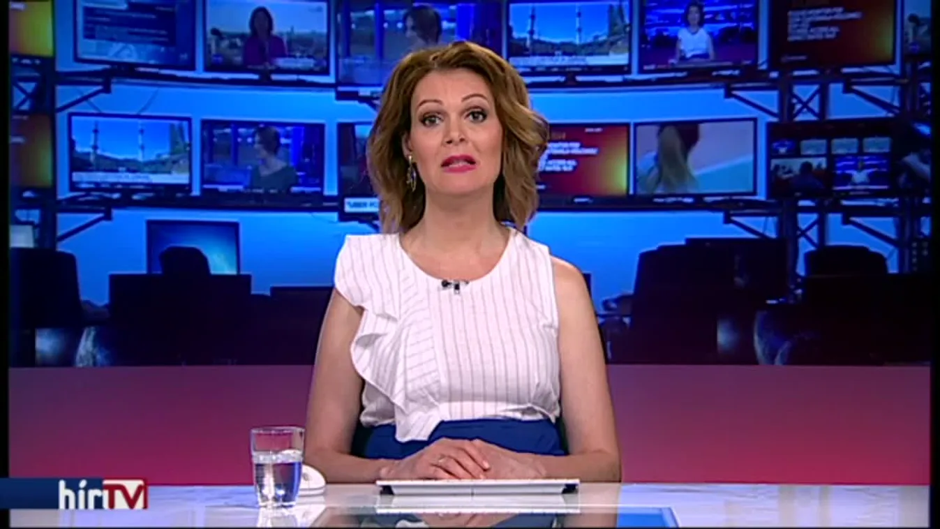 Első fokon 17 évet kapott az anyagyilkos