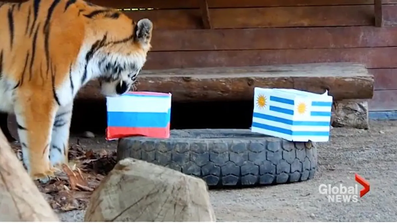 Vb: Két csoportban is kialakul ma a végeredmény