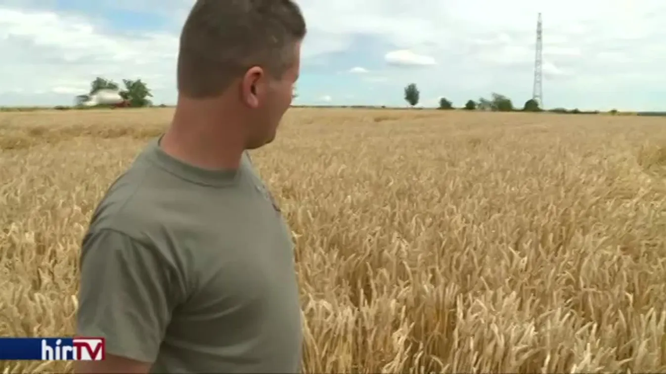 Jelentősen drágulhat több alapvető élelmiszer