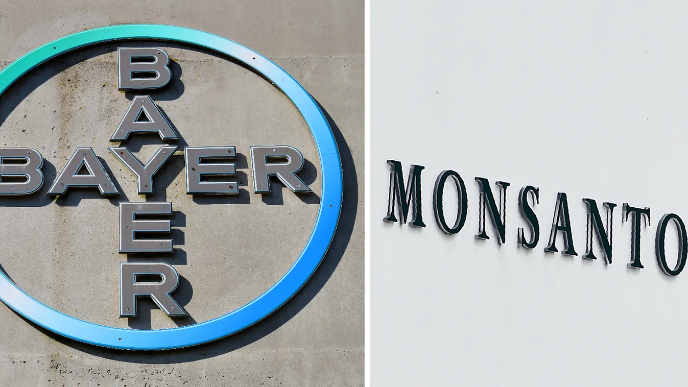 Megszünteti a Monsanto márkanevet a Bayer a két cég fúziója után