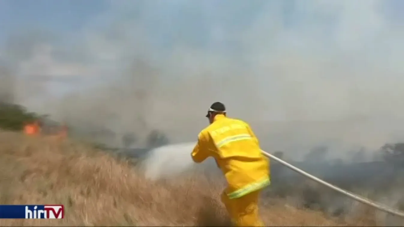 Tüzes papírsárkányokkal okoz bosszúságot Izrael Palesztinának