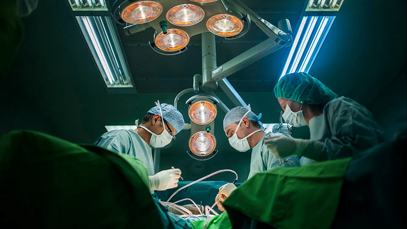 Egy éves csúszással indul a vastagbélszűrési program