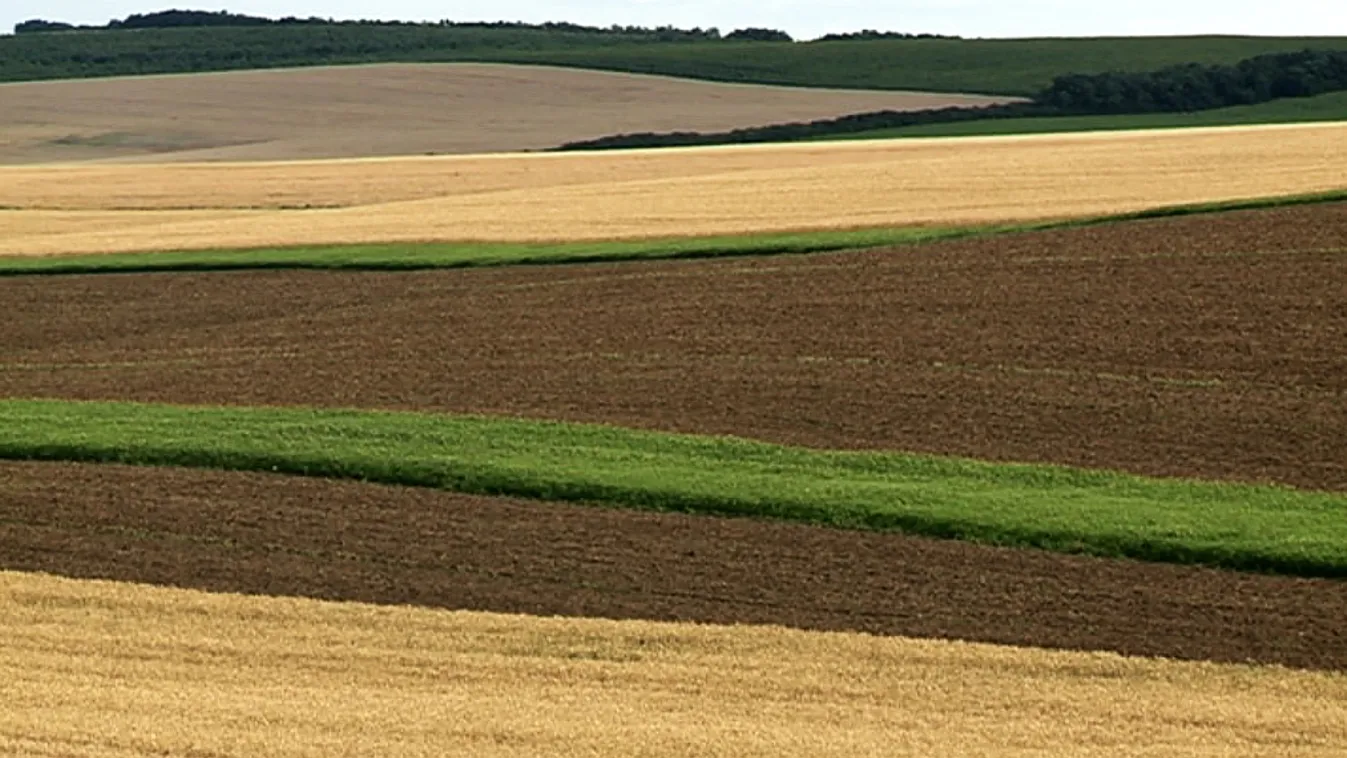 Zöld sávok – Soroló