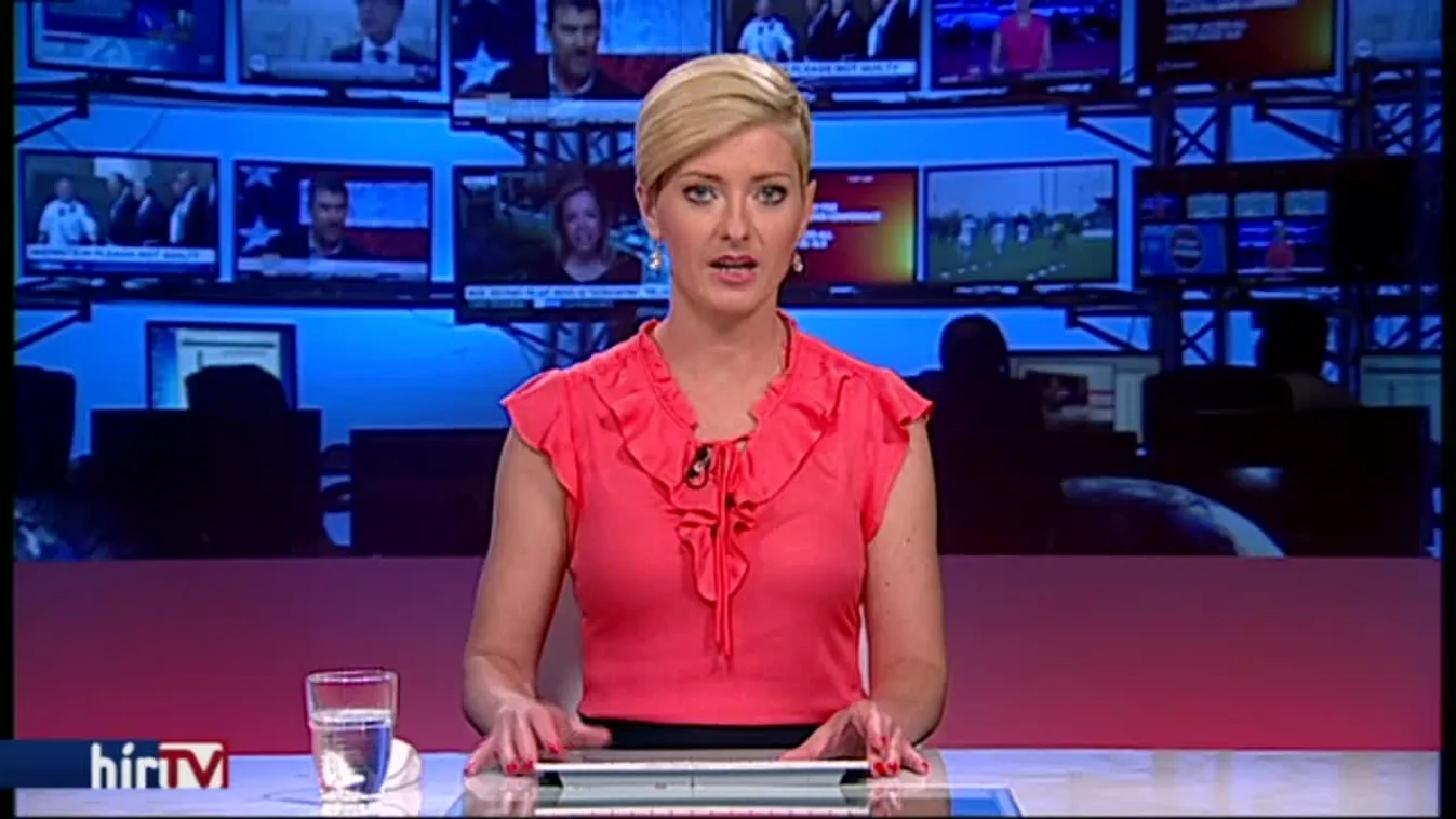 Nincs hivatalos fordítás, nem tudták tanulmányozni a Stop Soros szövegét