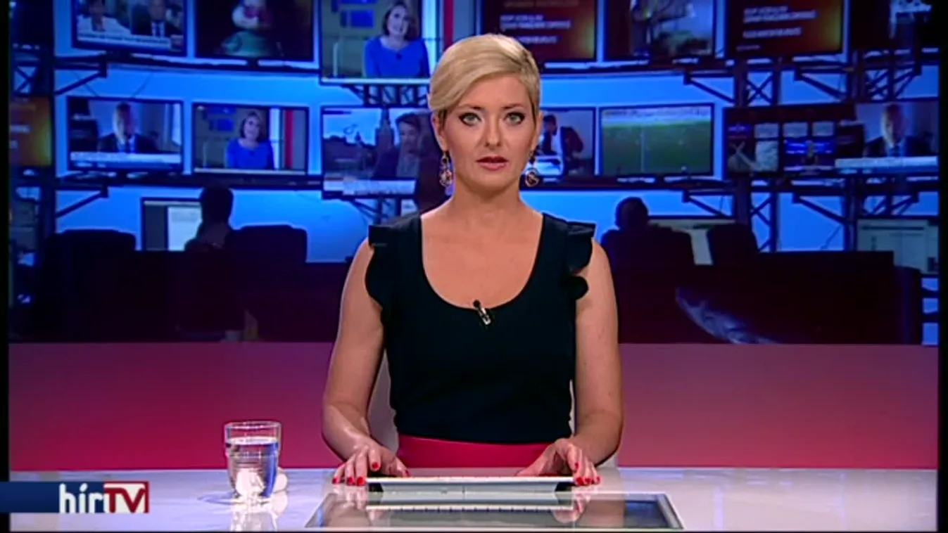 A sertéspestis okozta károk megtérítését várja a kormánytól az MSZP