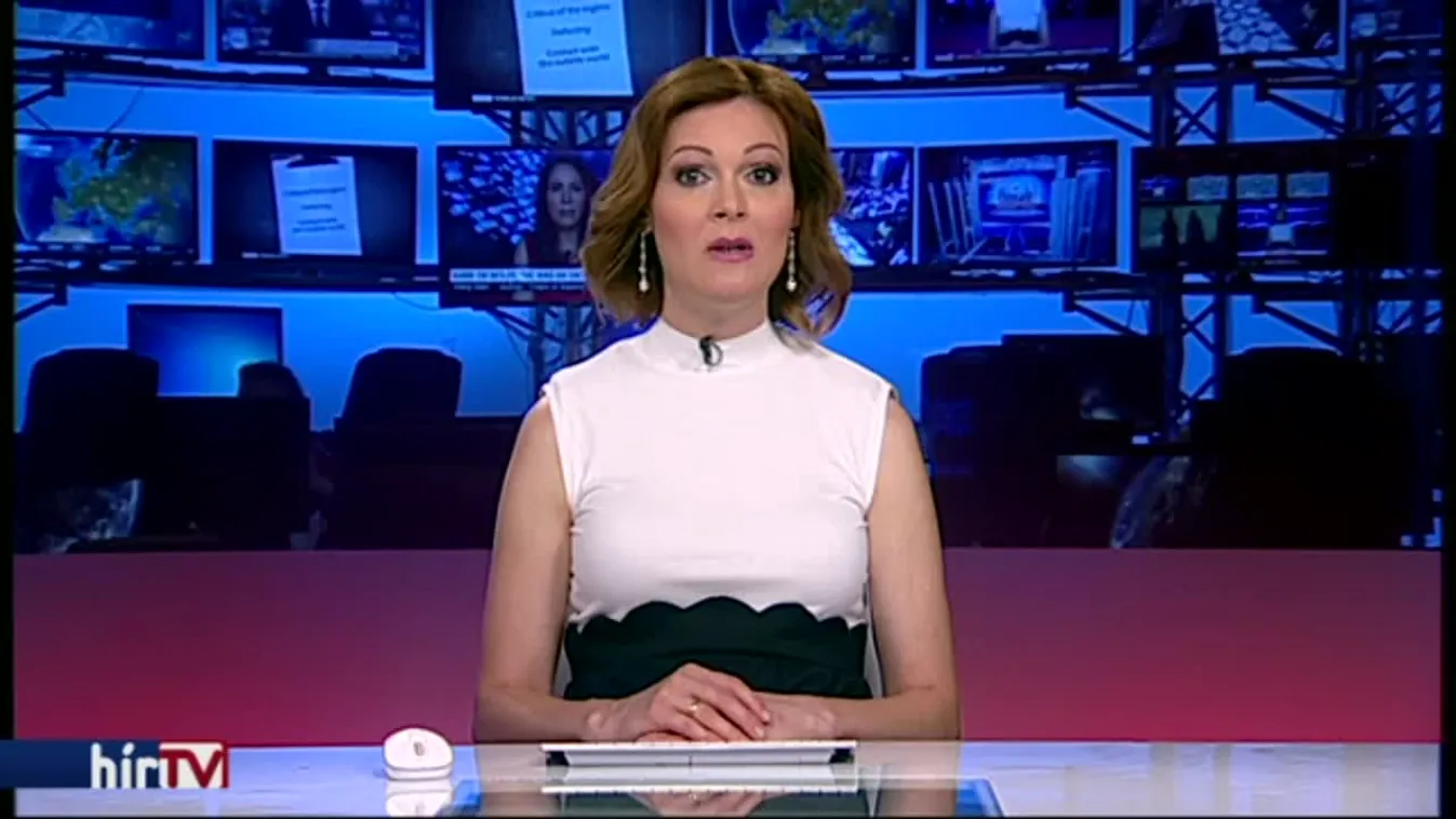 Végrehajtóval vitetné vissza Svájcba 6 éves lányát egy apa