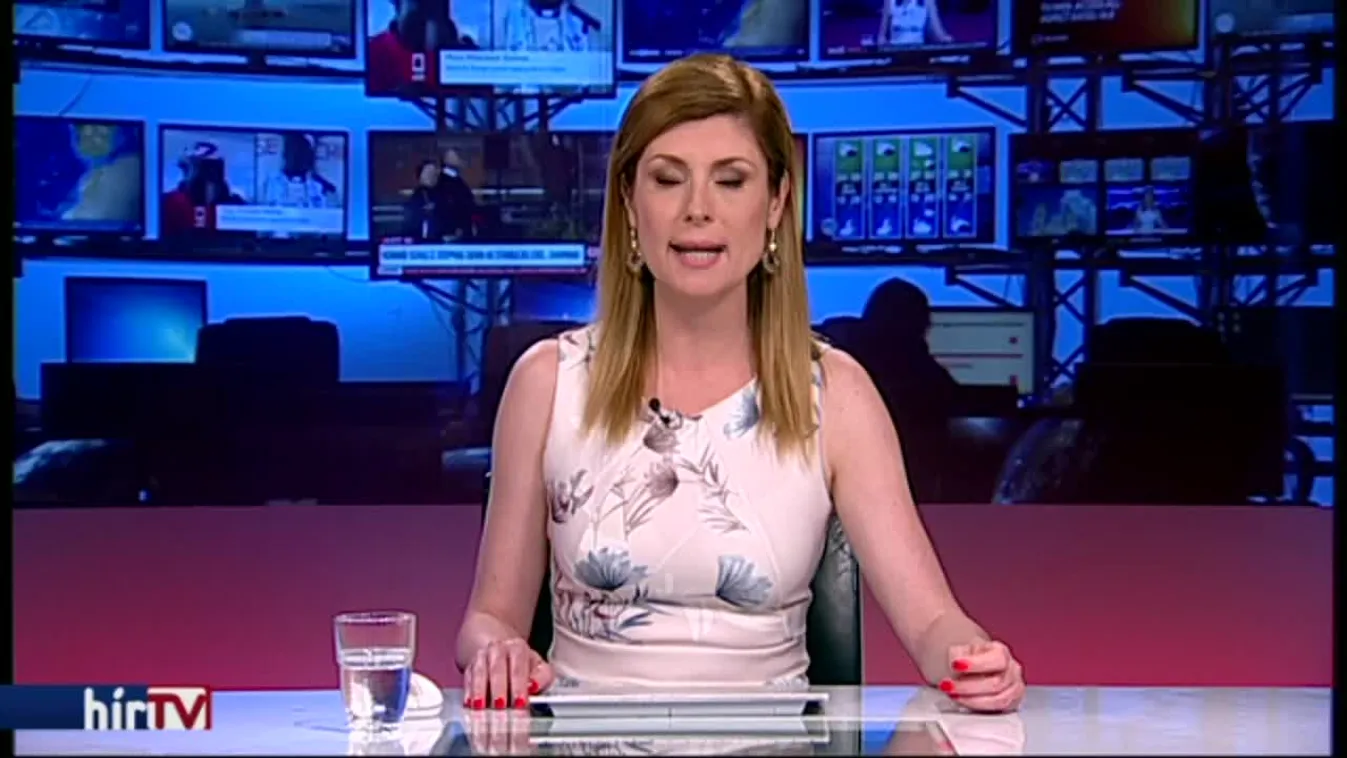 Plébános: a Fidesz védheti meg Európát a liberális pusztítástól