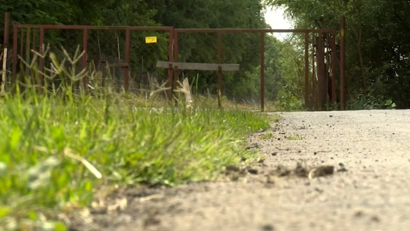 Jogerősen pert veszített a Mészáros Lőrinc fiához köthető társaság