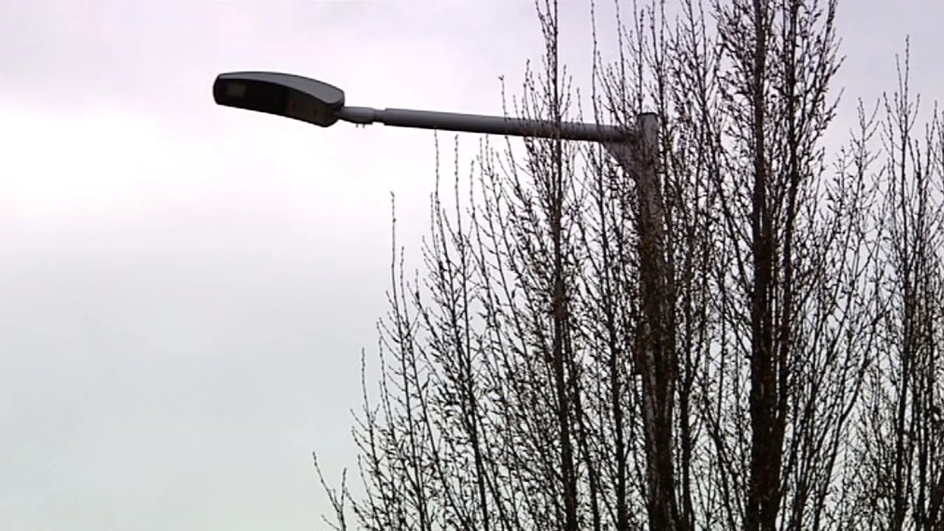 Kaszált az Elios-botrányban is érintett szakértő cége