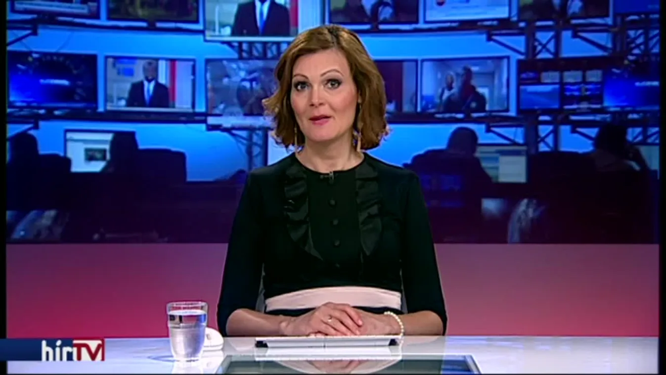 Átfutott az M43-ason, majd a kukoricásba rontott a medve