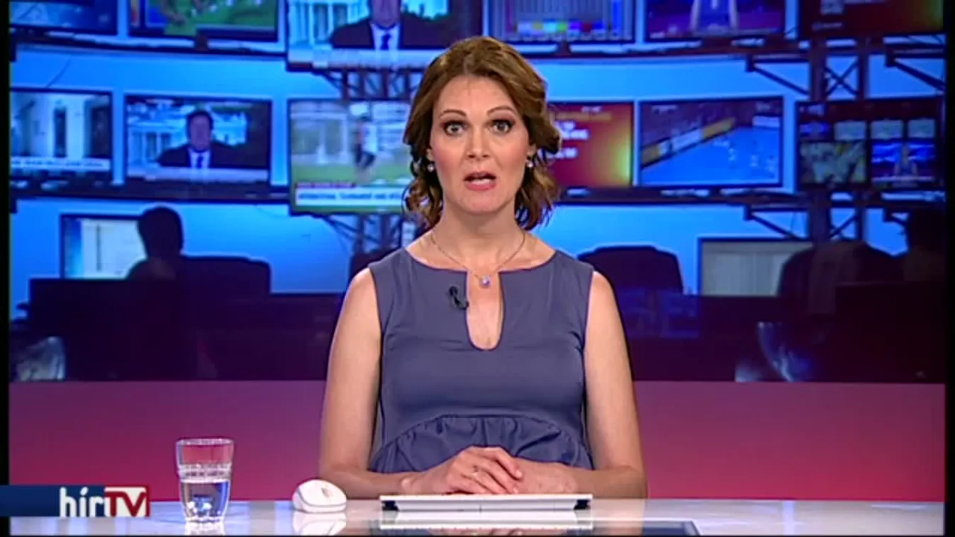 Sólyom: A Heti Válasz nem írt vállalhatatlant