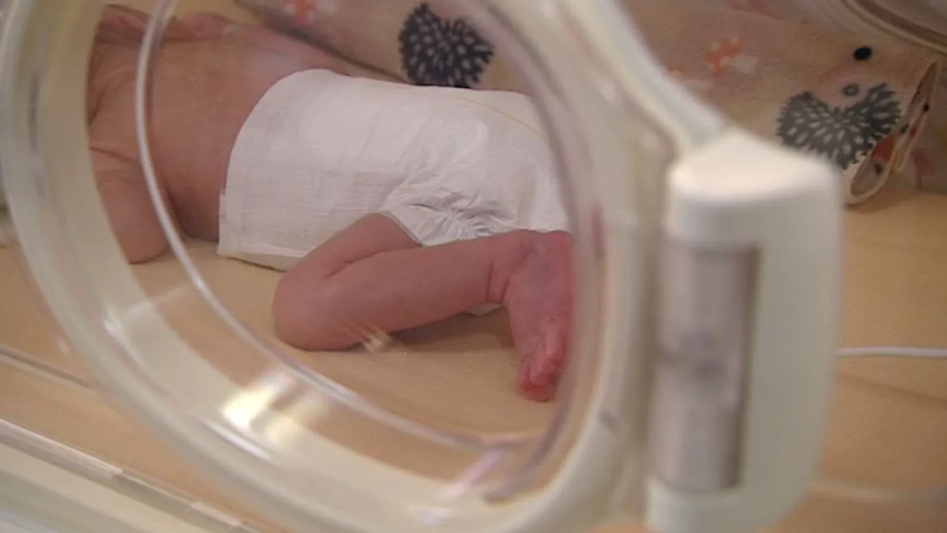 A demográfiai program nem az, hogy „akkor a nők kezdjenek el szülni”