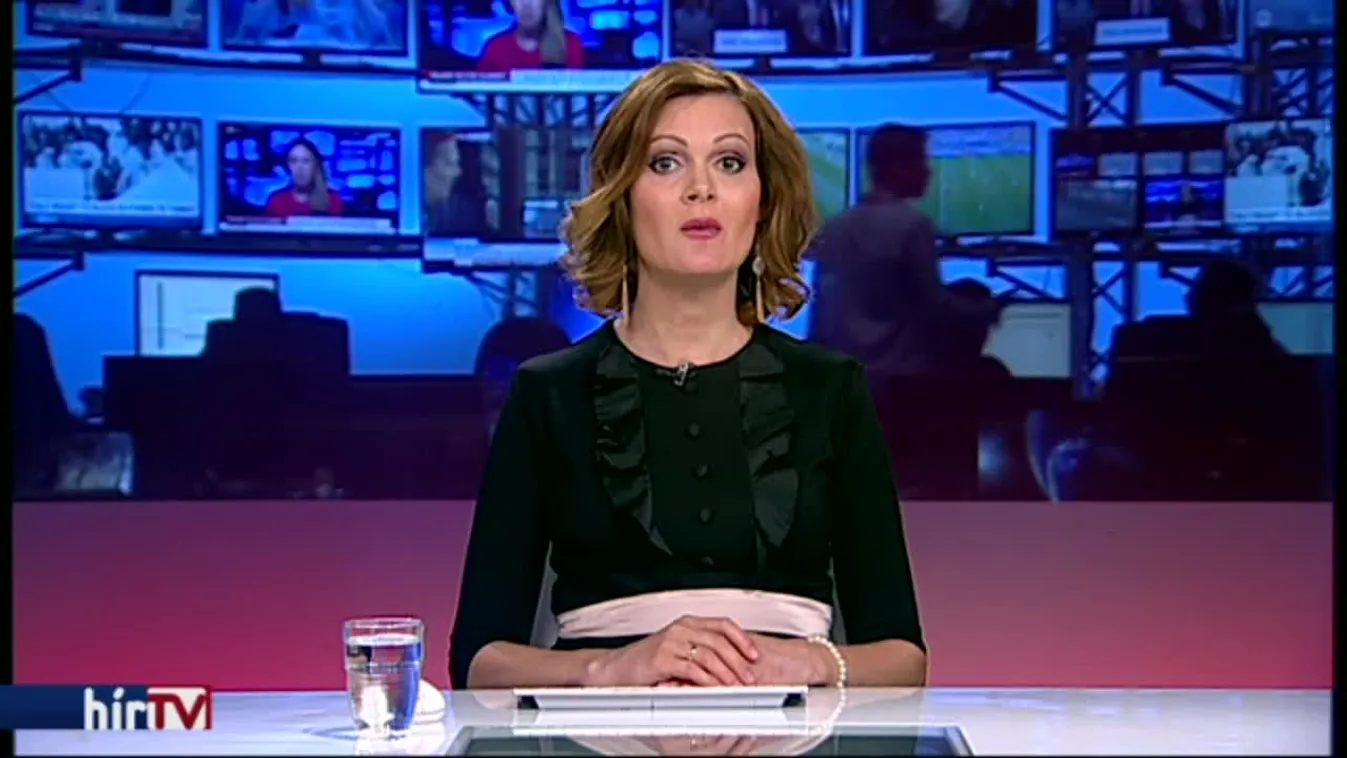 Áder aláírta a Stop Sorost és az alkotmánymódosítást