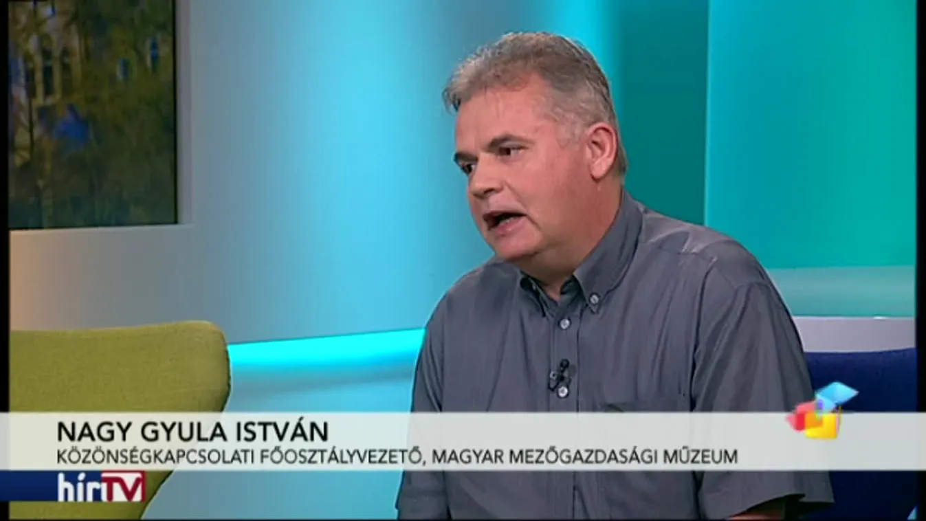 Reggeli járat - Kezedben a gyeplő!