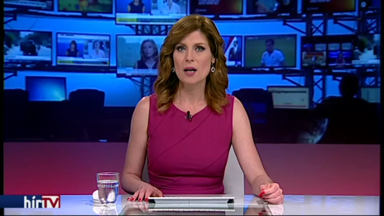 Vagyonadót vetne ki a milliárdosokra a Mi Hazánk Mozgalom