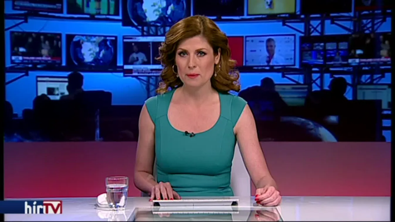 Diseri Dóra helyzetjelentése a német kományválságról