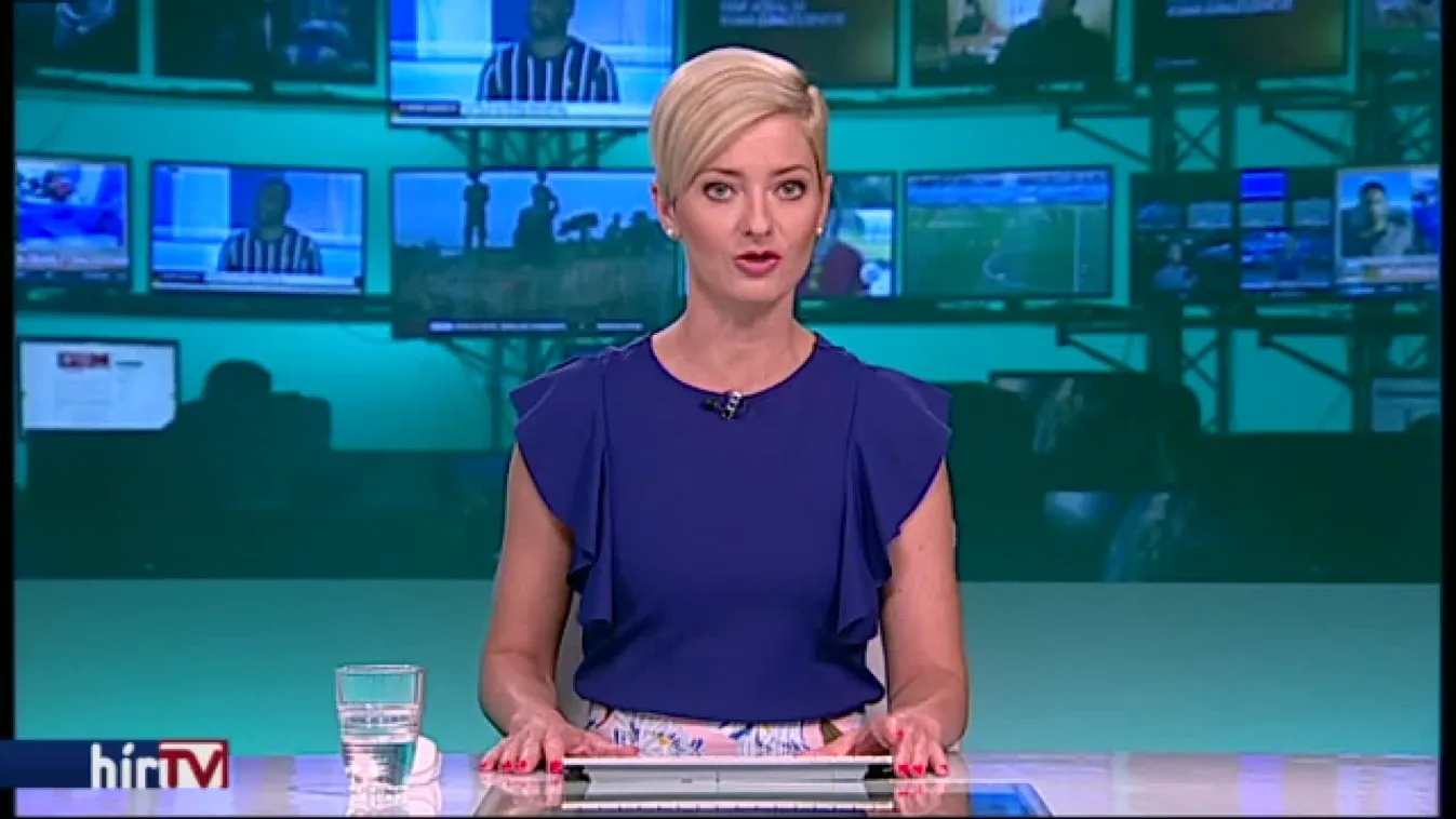 Hollik tartja álláspontját, ami szerint Franciaország bevándorlóország