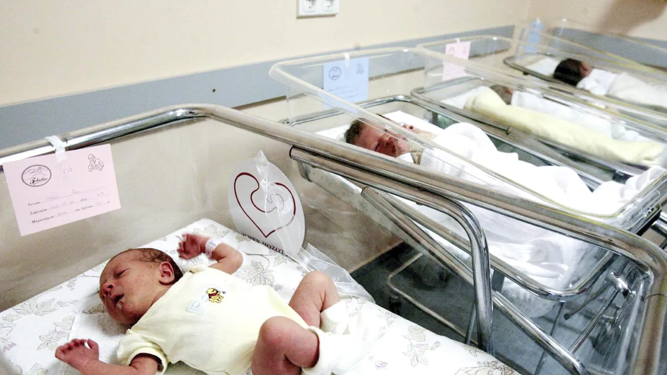 Tovább fogy a magyar - Tantusz