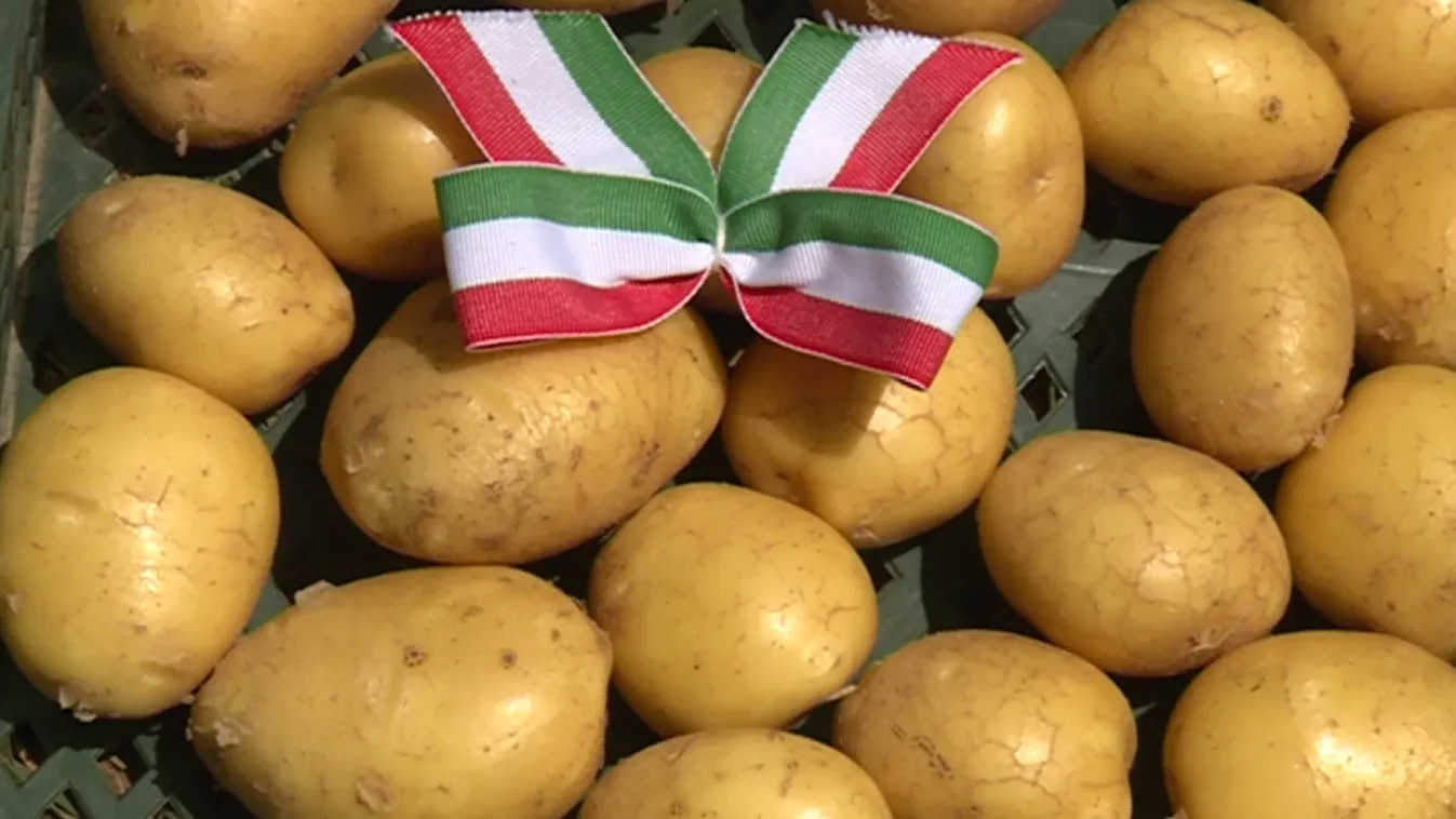 A magyar agrártermelés egyik szégyene