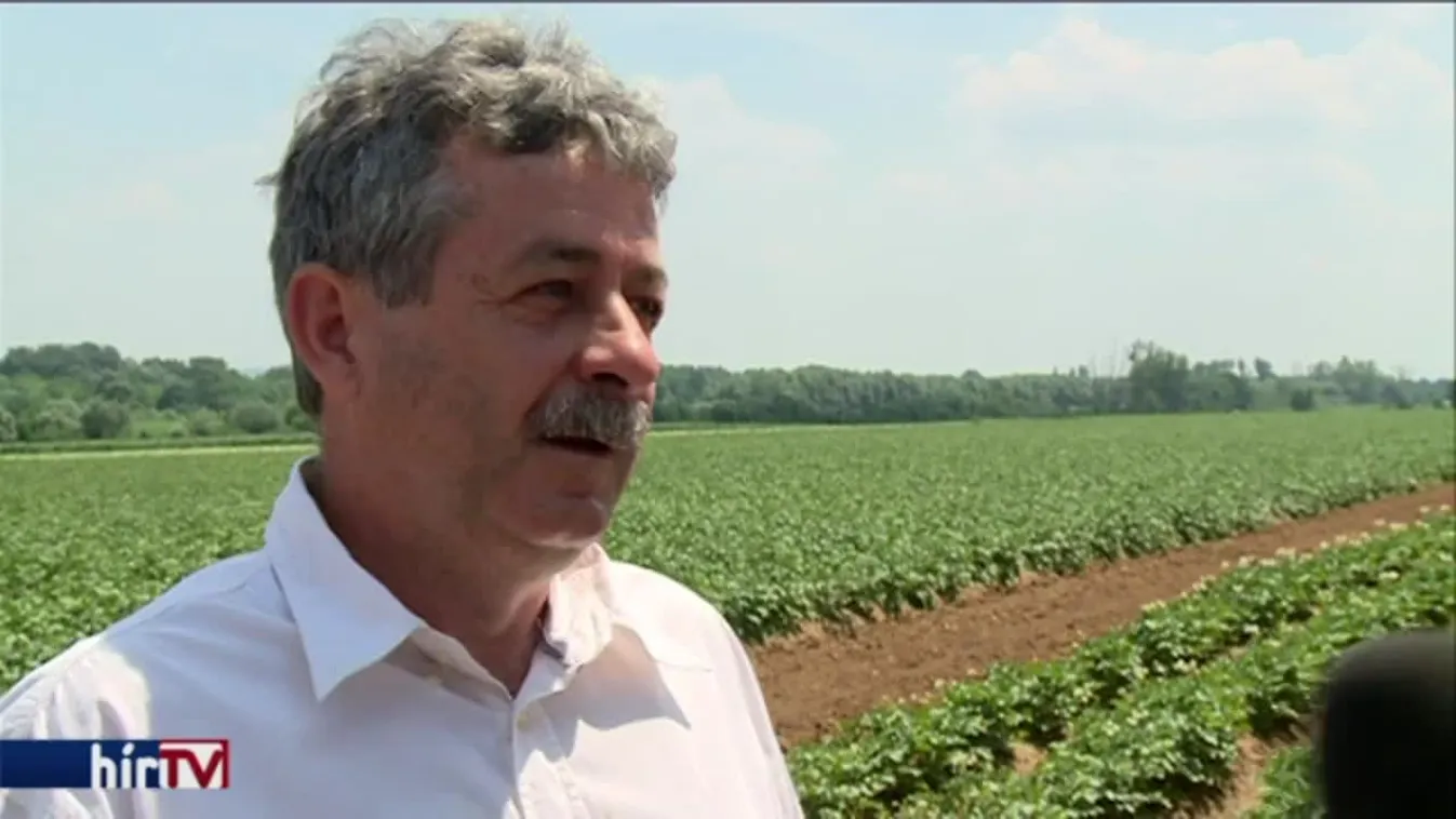 Soroló – A magyar agrártermelés egyik szégyene