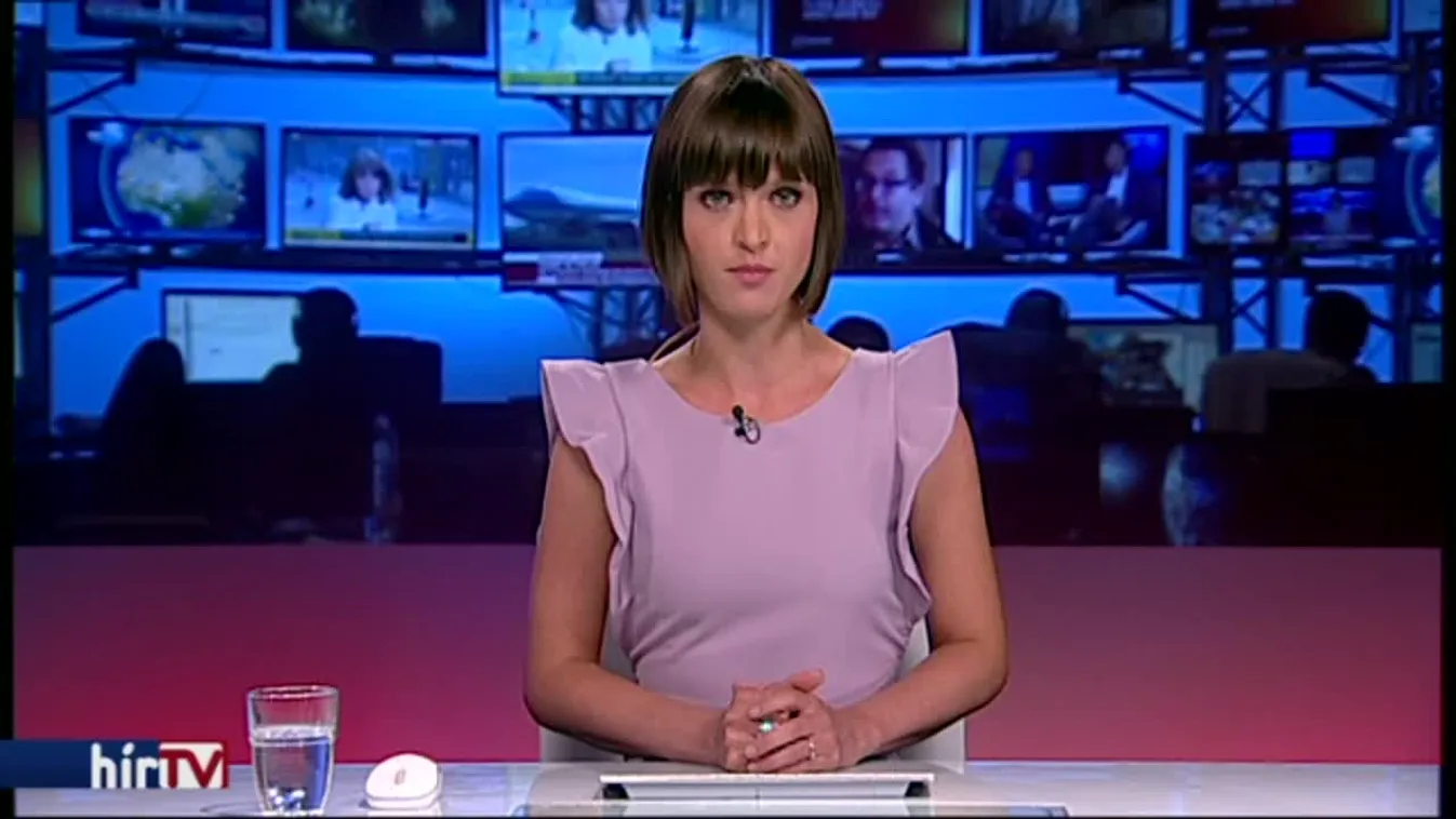 A Swietelskyé a római parti gát tervezése és építése