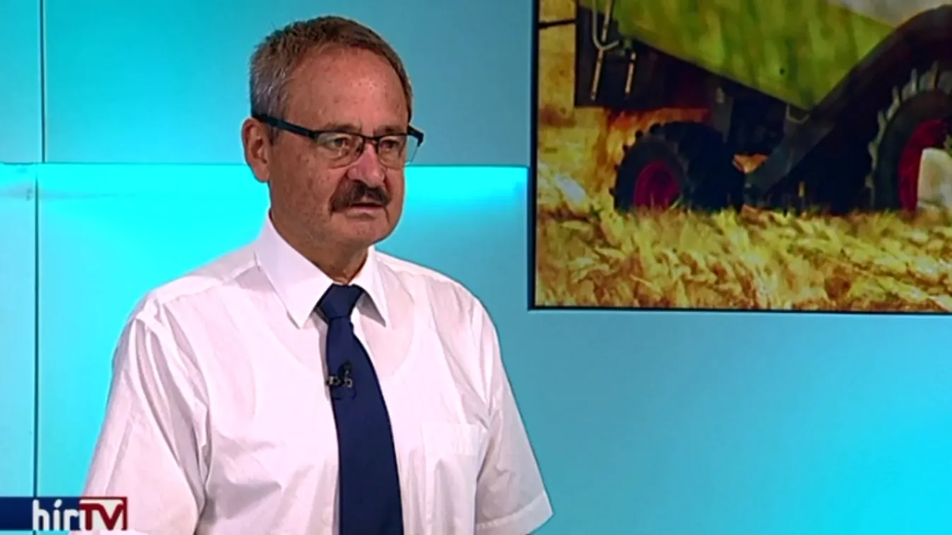 Kezdődik az aratás