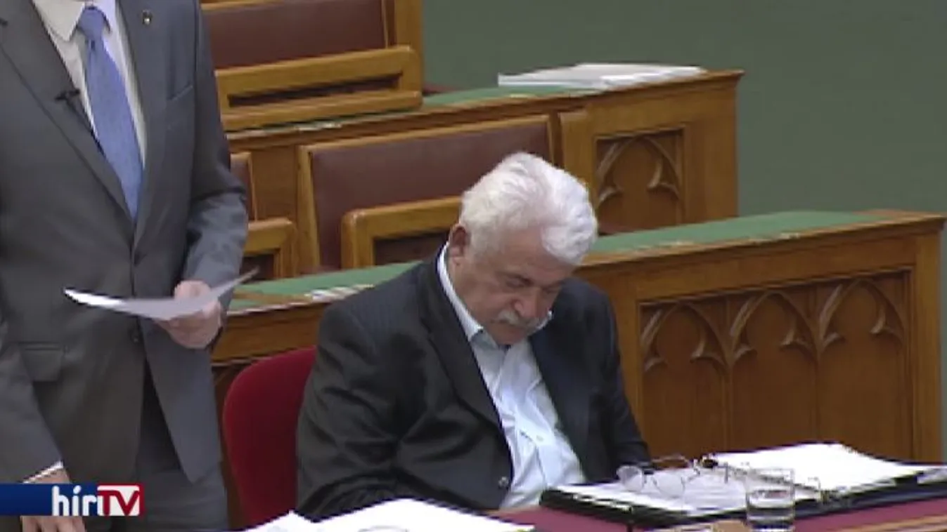 Fónagy János az első sorban aludt a parlamentben