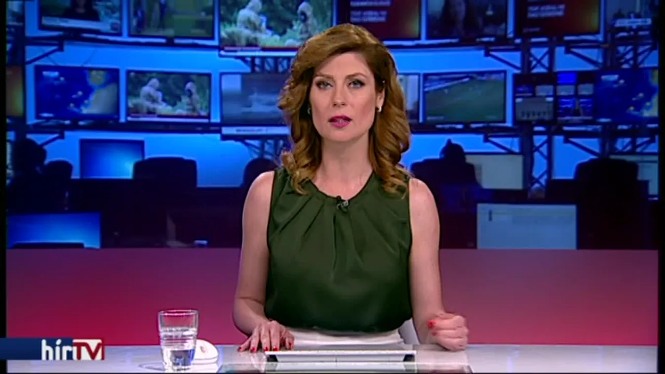 Hitelből finanszírozza az állam az MTA-kutatásokat