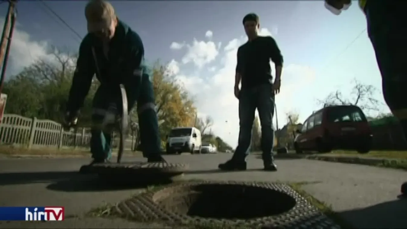 Egyre több panasz érkezik rágcsálók feltűnése miatt Budapesten