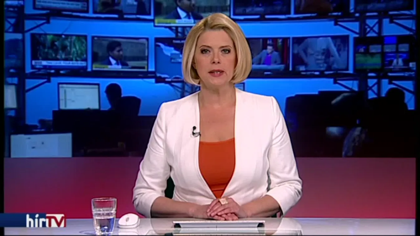 Elmegyógyintézetbe szállították át a sólyi kislány gyilkosát