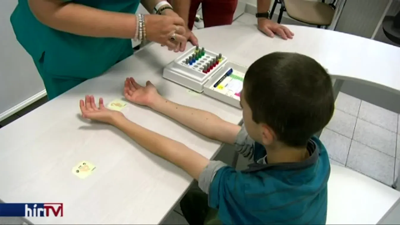 Országszerte vadásszák a parlagfüvet