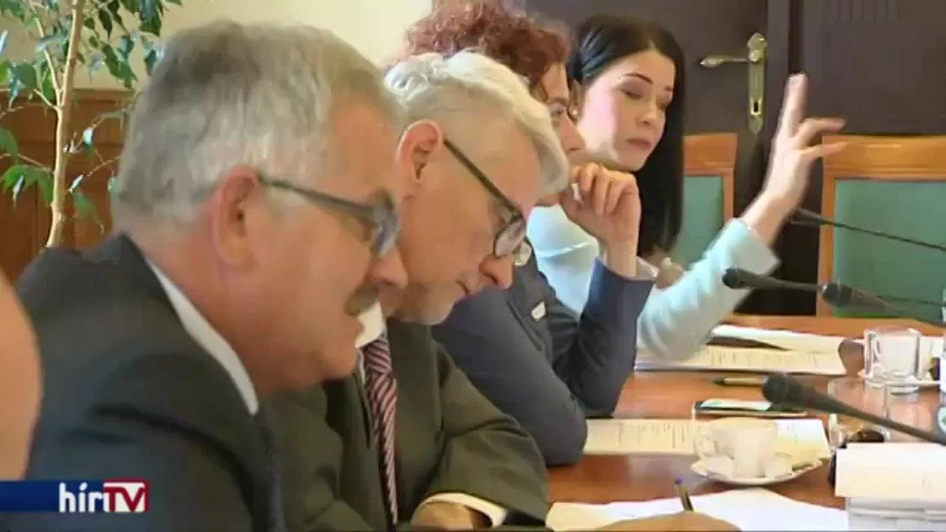 Spórolás céljából válthatják a rendőrök a katonákat a déli határon