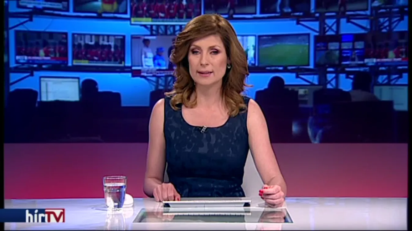 MKB-részesedés a Matolcsy családban