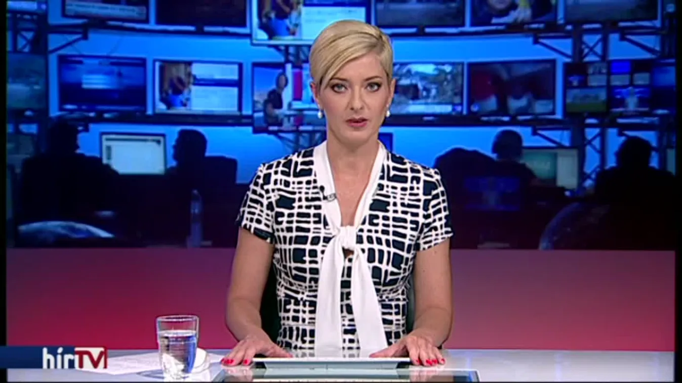 Most megismerheti a világ Seehofer elképzelését