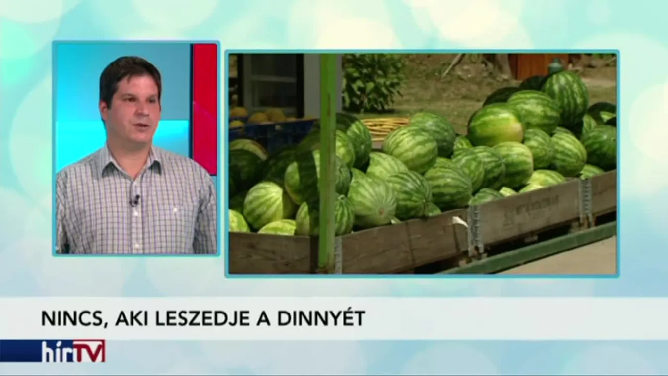 Reggeli járat - Károk