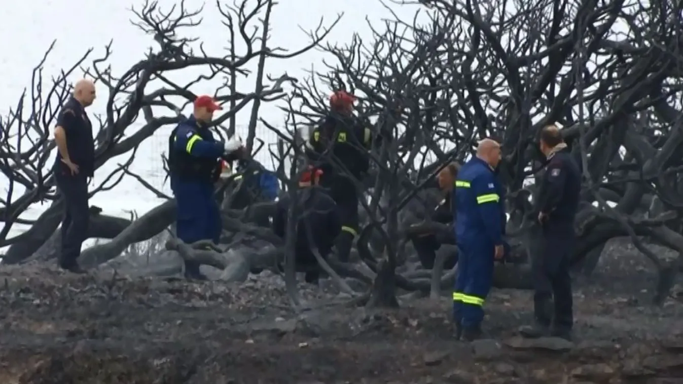 Gyújtogatás okozhatta a pusztító erdőtüzet