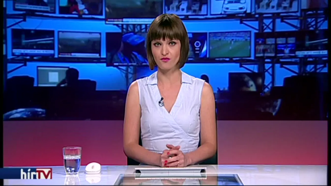 Menesztették az Orbán Viktor politikáját védő nagykövetet