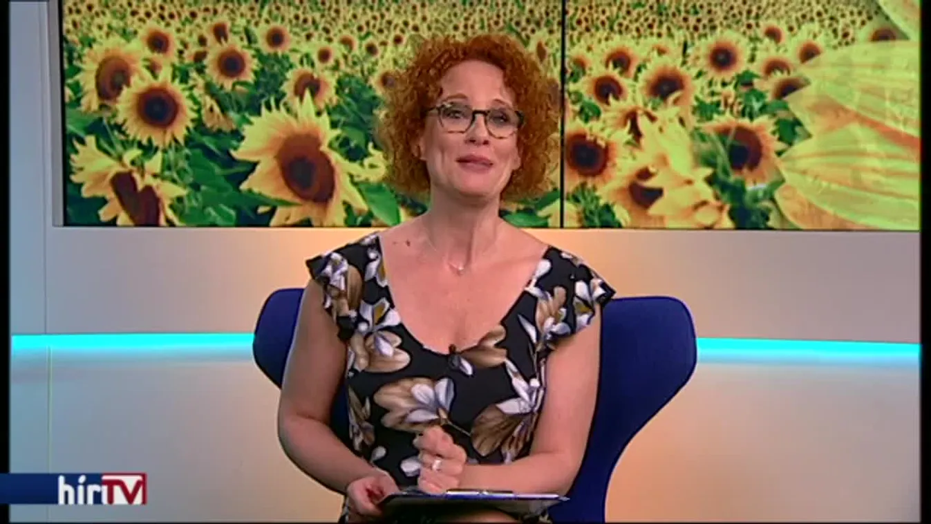 Reggeli járat – Programajánló