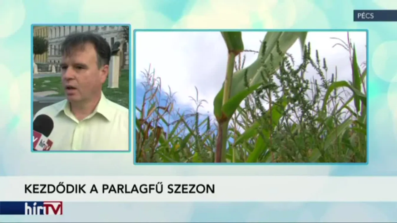 Indul a parlagfűszezon