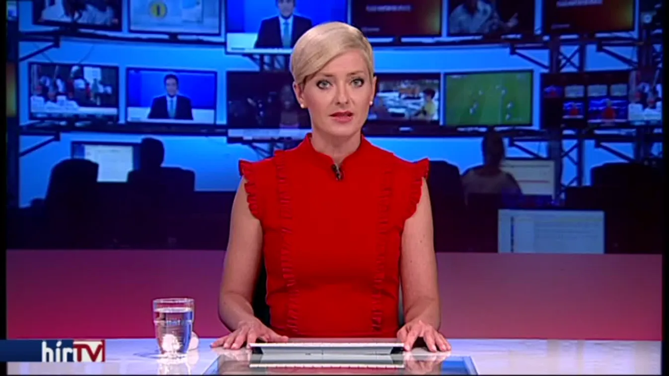 Gyárfás leszurkolta szabadságáért a 200 milliót